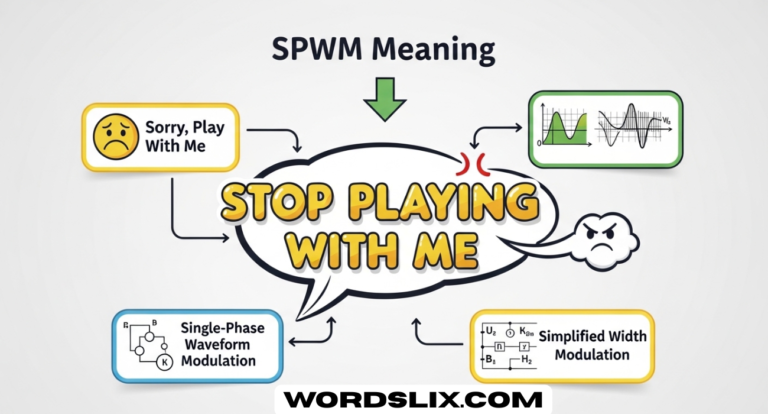 SPWM Meaning in Text: Understanding Stop Playing With Me and More